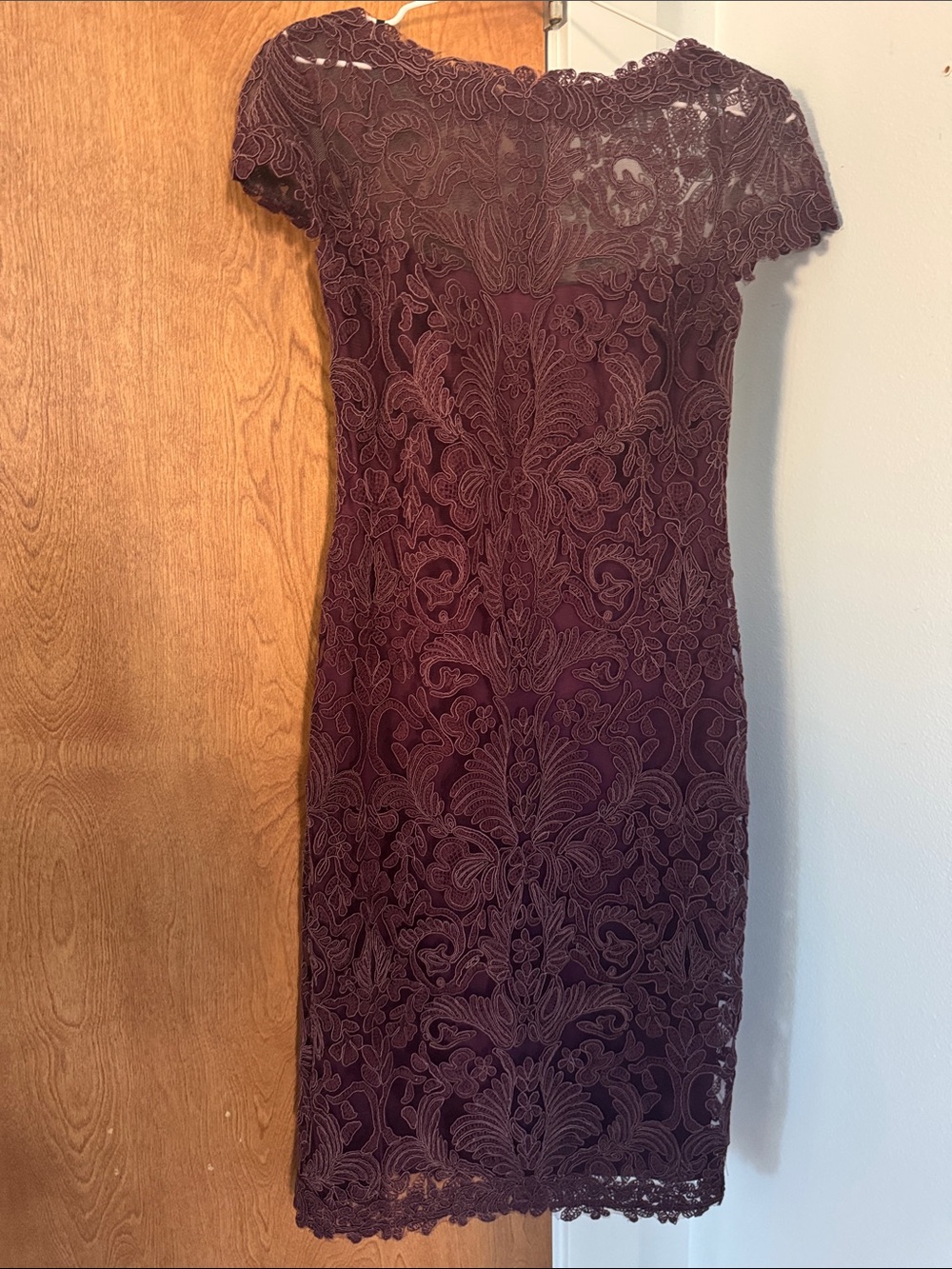 Tadashi Shoji corded embroidery on tulle cap sleeve dress size 4